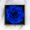 Preserved Real Rose Gift Box Enchanted Real Rose with I Love You Necklace 100 Languages Gift ; Eternal Rose Flower Handmade Preserved Rose Gift for He