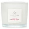 ACCA KAPPA - Scented Candle - Raspberry & Tomato Leaves 3578 / 028353 180g/6.34oz