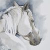 Hand Embellished Horse Framed Canvas Wall Art